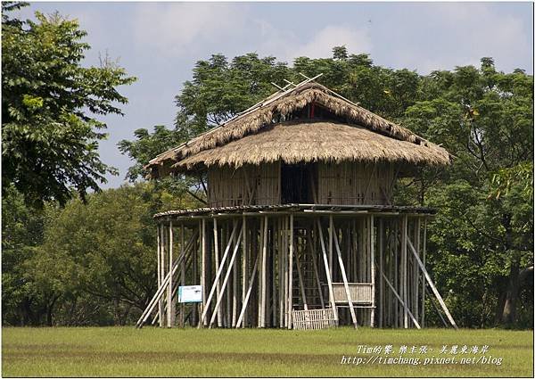 卑南公園 (7)