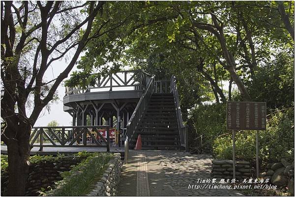 卑南公園 (37)
