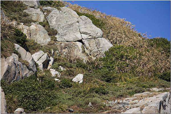 東引安東坑道 (52)