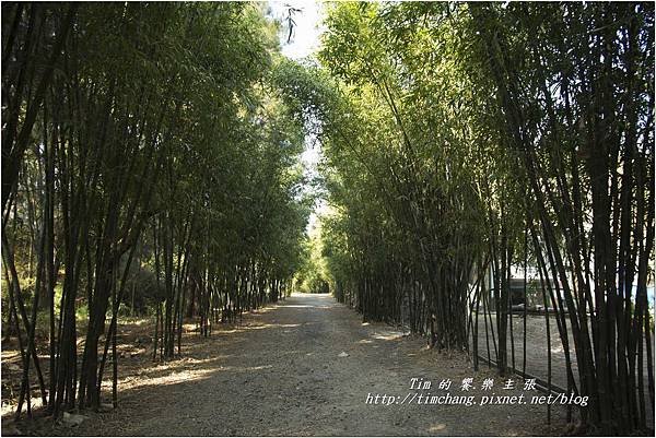 金門植物園老兵故事館擎天水庫 (25).jpg