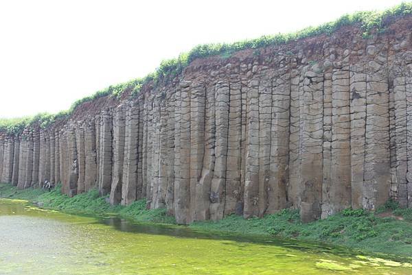 西嶼大菓葉玄武岩 (1).JPG