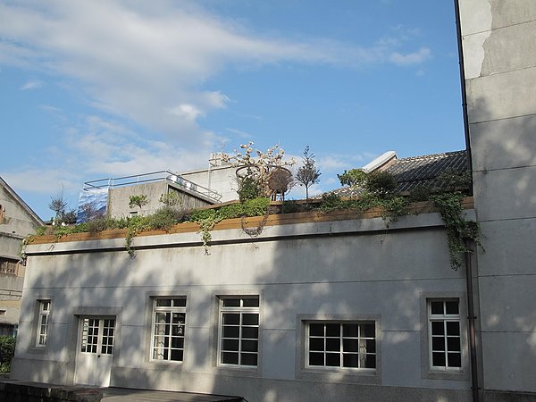 IMG_5739.JPG