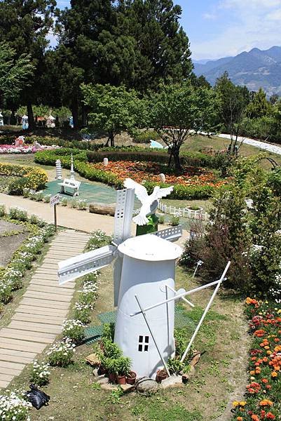 第二天(清境瑞士小花園) (6).JPG
