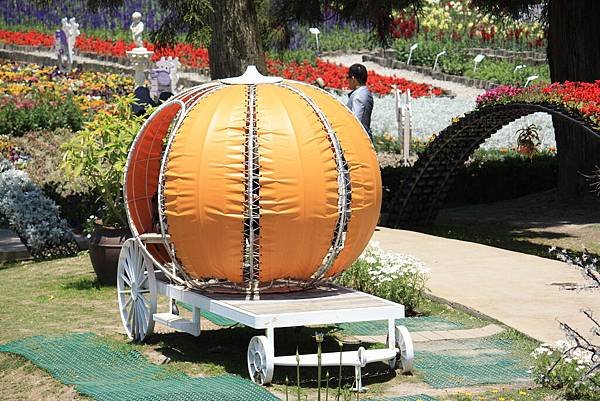 第二天(清境瑞士小花園) (2).JPG