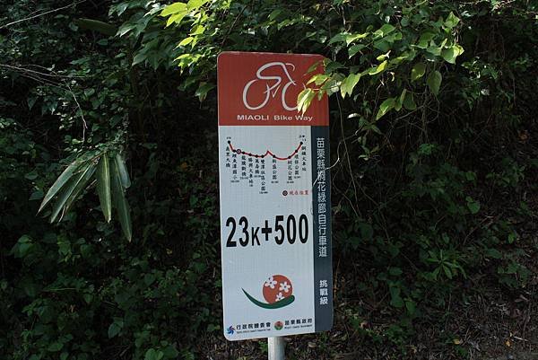 連續隧道群 (36).JPG