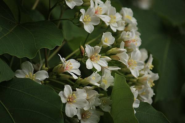 IMG_3112.JPG