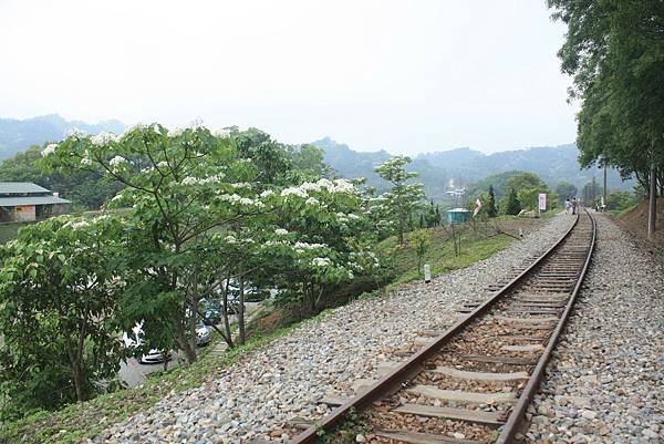 龍騰斷橋 (15).JPG