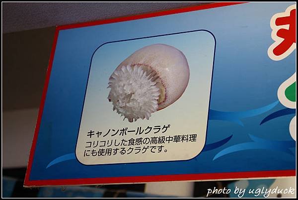 江之島_章魚煎餅
