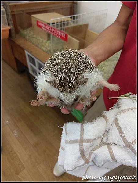 阿蘇動物園