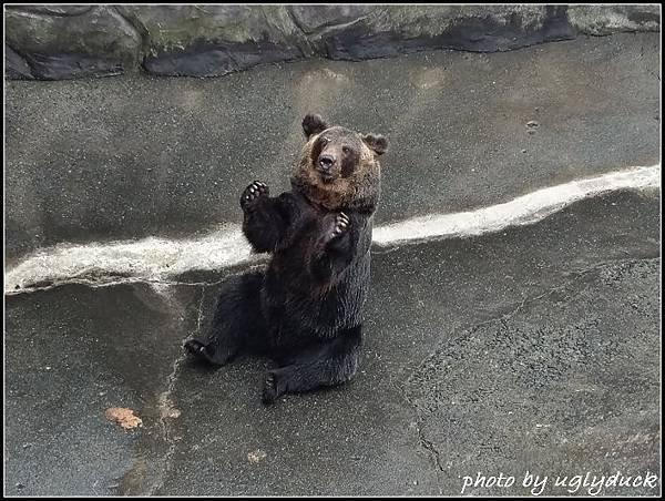 阿蘇動物園