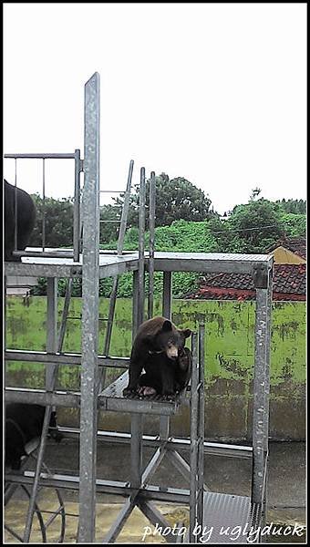 阿蘇動物園