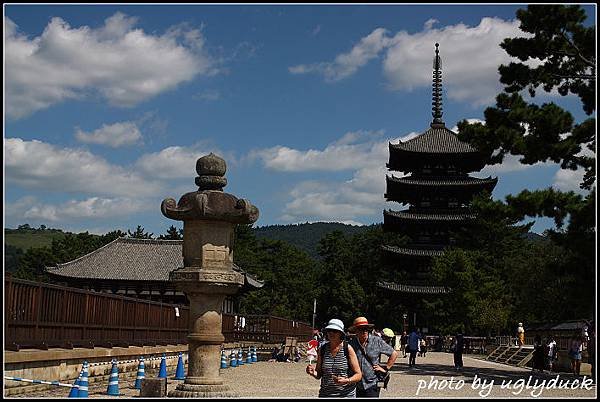 IMG_1341_奈良_興福寺