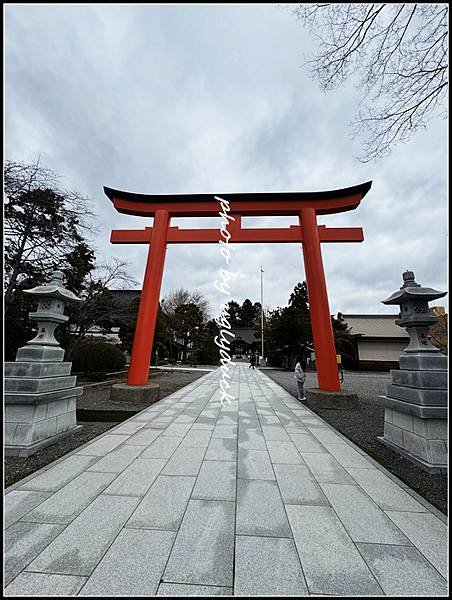 【北海道 道南 函館】湯倉神社 烏賊御神籤 (北海道限定蝦夷