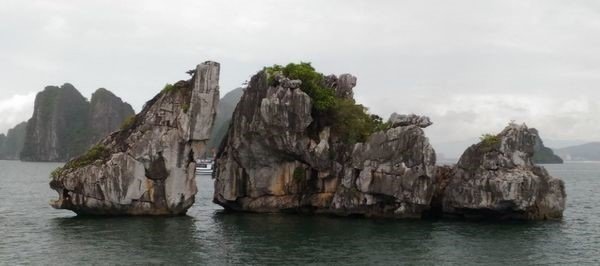 halong1.jpg