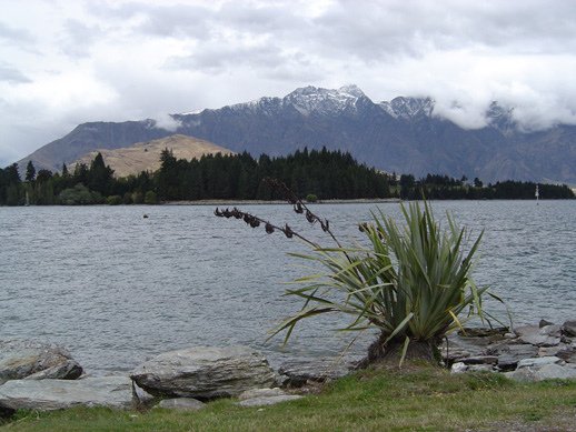 wakatipu.jpg