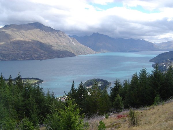 wakatipu5.jpg