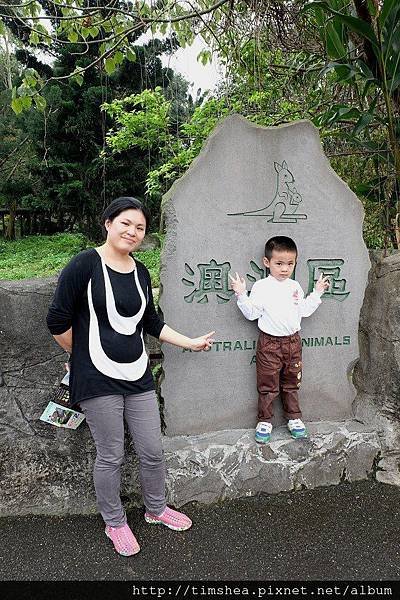 澳洲區