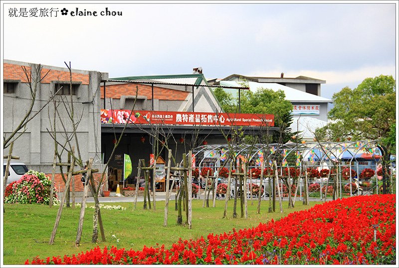 池上鄉農會四季花海32.jpg
