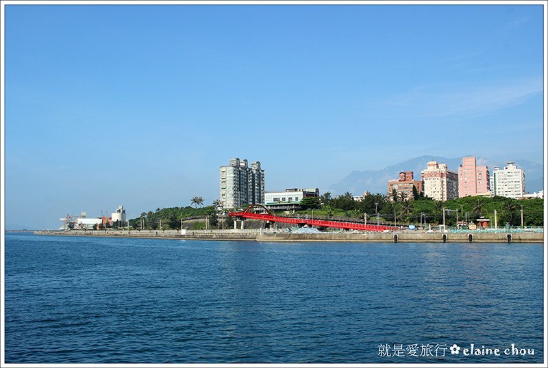 花蓮賞鯨07.jpg