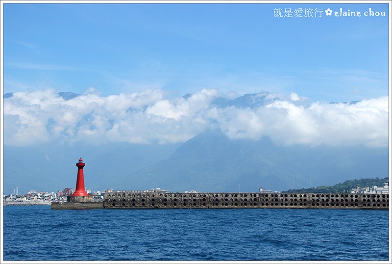花蓮賞鯨11.jpg