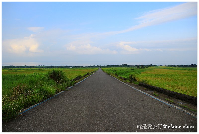 長光梯田大道06.JPG