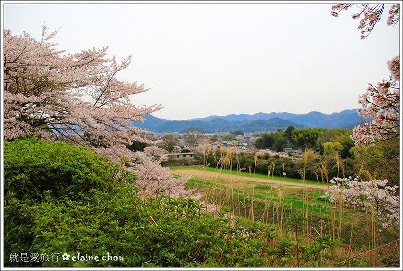 篠山城跡38.jpg