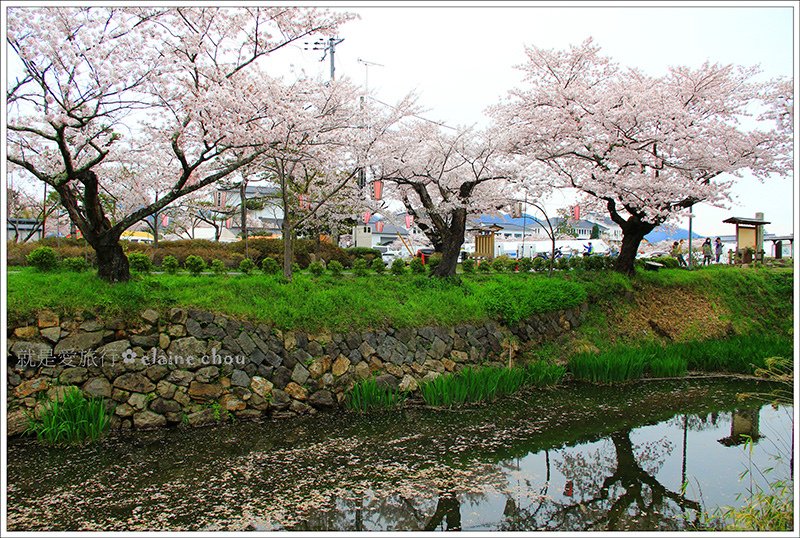 篠山城跡50.jpg