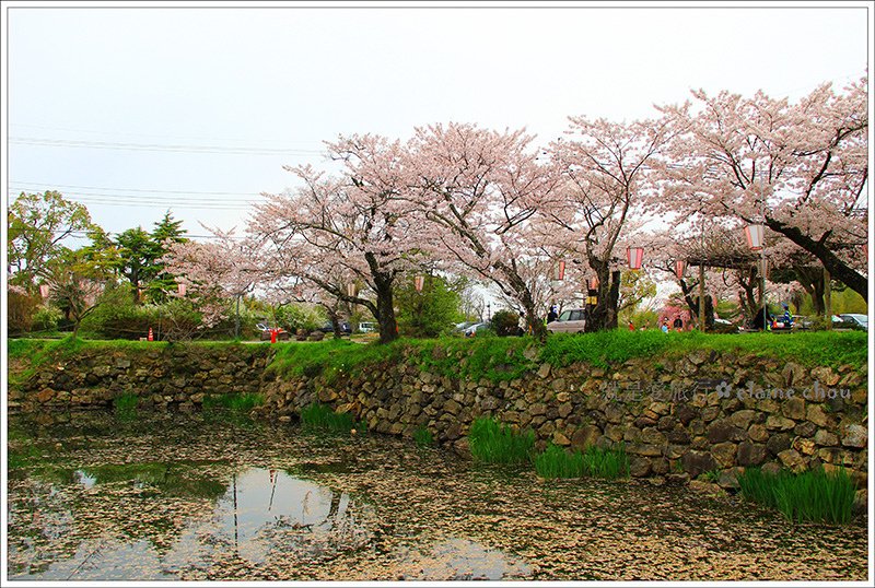 篠山城跡51.jpg