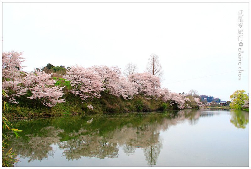 篠山城跡60.jpg