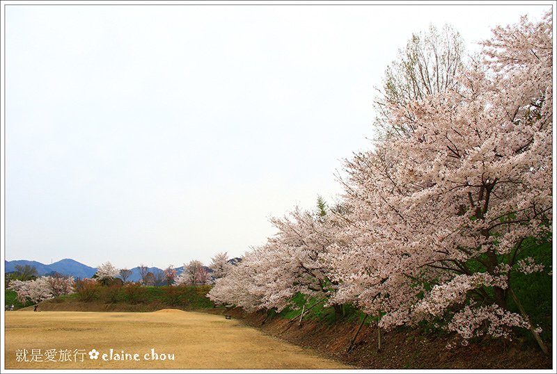 篠山城跡64.jpg