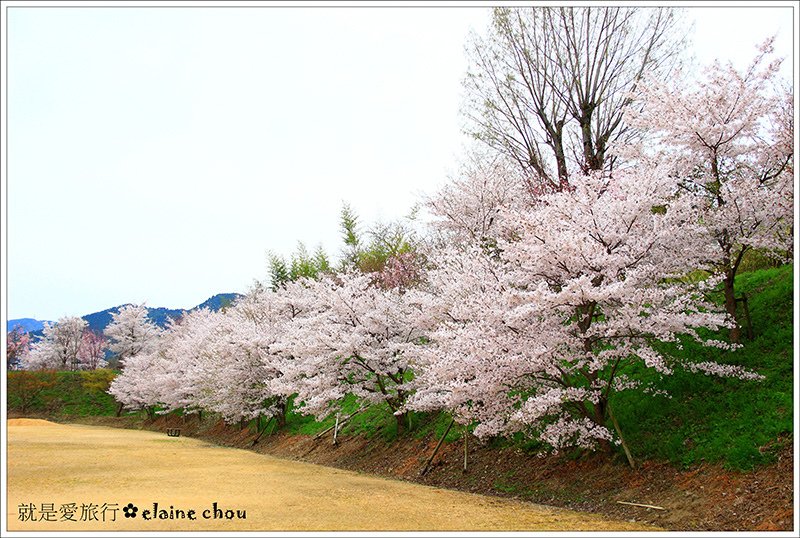 篠山城跡65.jpg