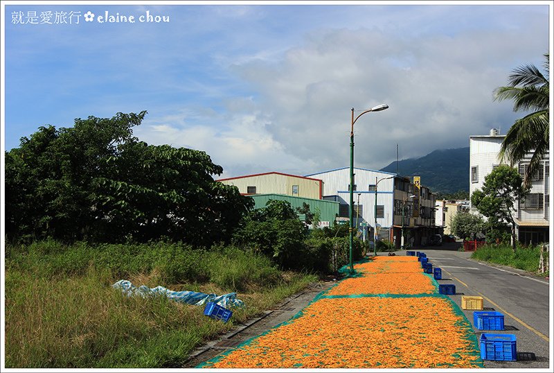 太麻里鄉公所金針山賞花專車06.JPG