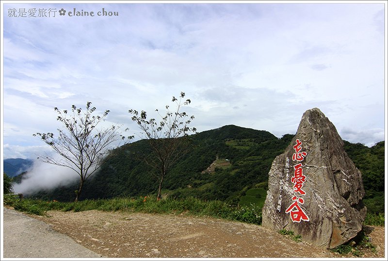 太麻里鄉公所金針山賞花專車11.JPG