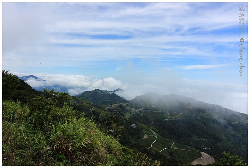 太麻里鄉公所金針山賞花專車13.JPG