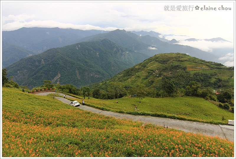 太麻里鄉公所金針山賞花專車22.JPG