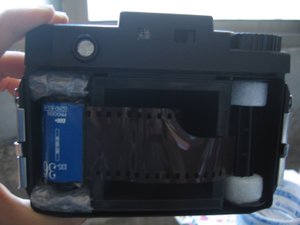 IMG_5956.JPG