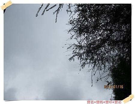 照片 328.jpg