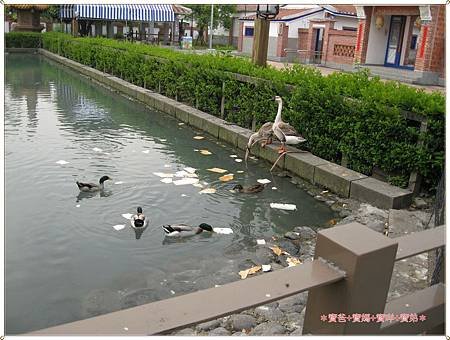 照片 056