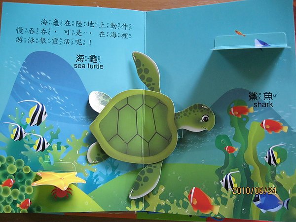 照片 037.jpg