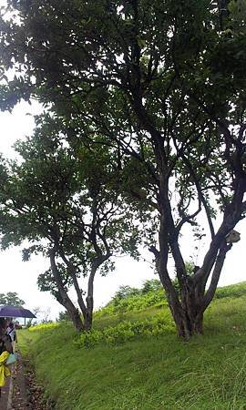 IMAG0760