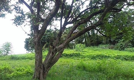 IMAG0761