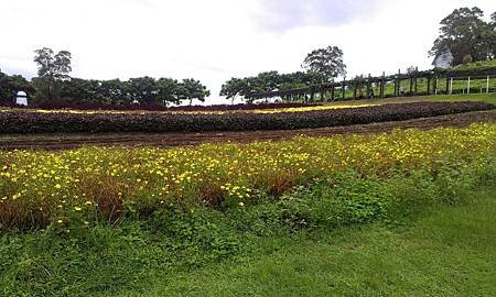 IMAG0769