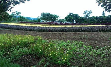 IMAG0778