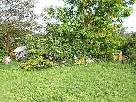 DSCN0424