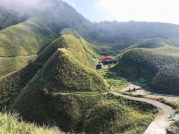 抹茶山2.jpg