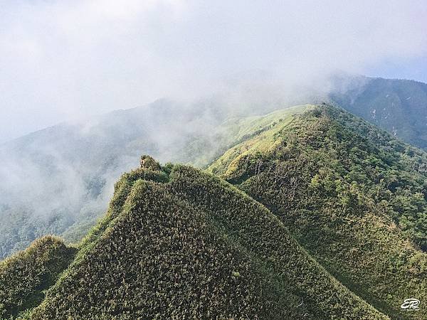 抹茶山5.jpg