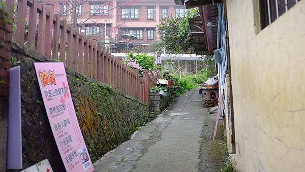 960.JPG