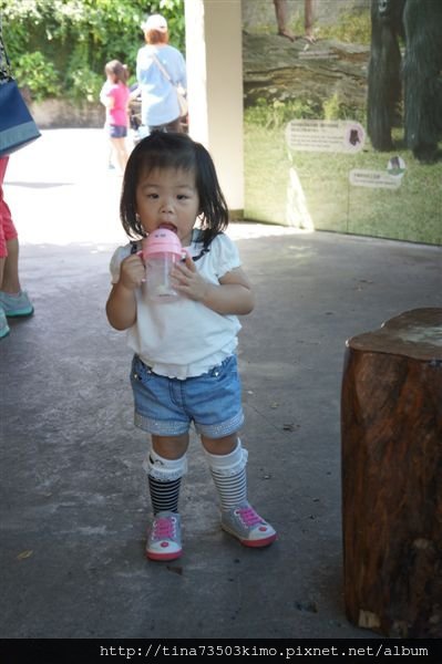 DSC09738.JPG