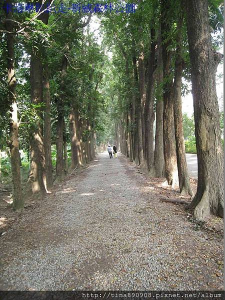 1021117-新威森林公園-C (75)