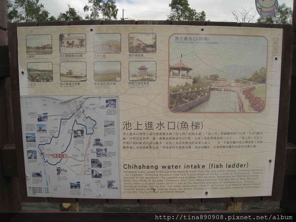 池上圳水利公園 (1).jpg